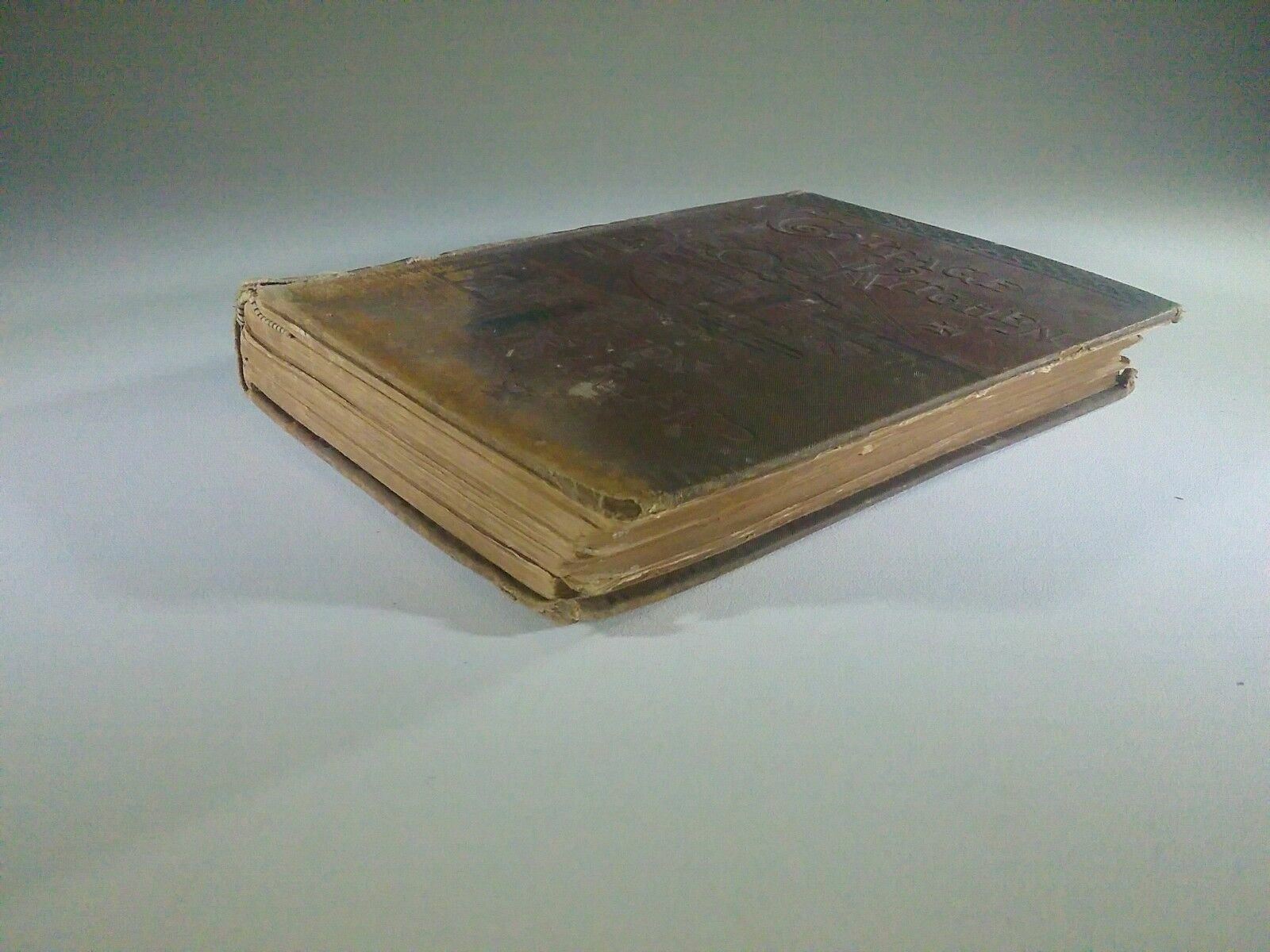 Image #3