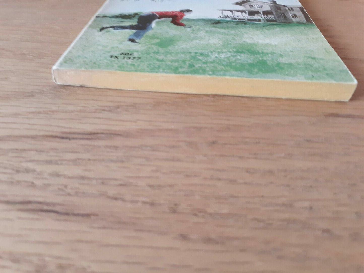 Image #2