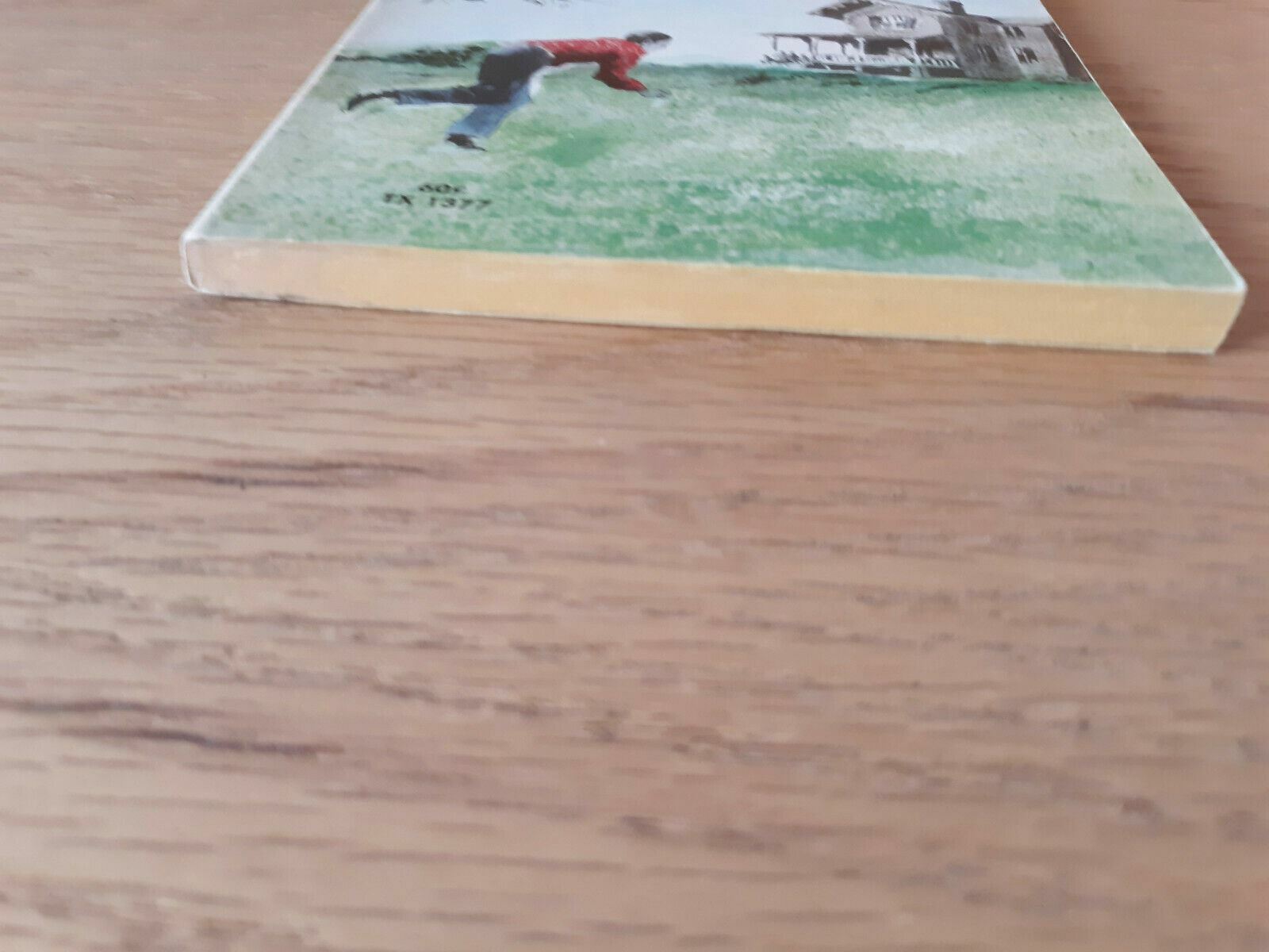 Image #2