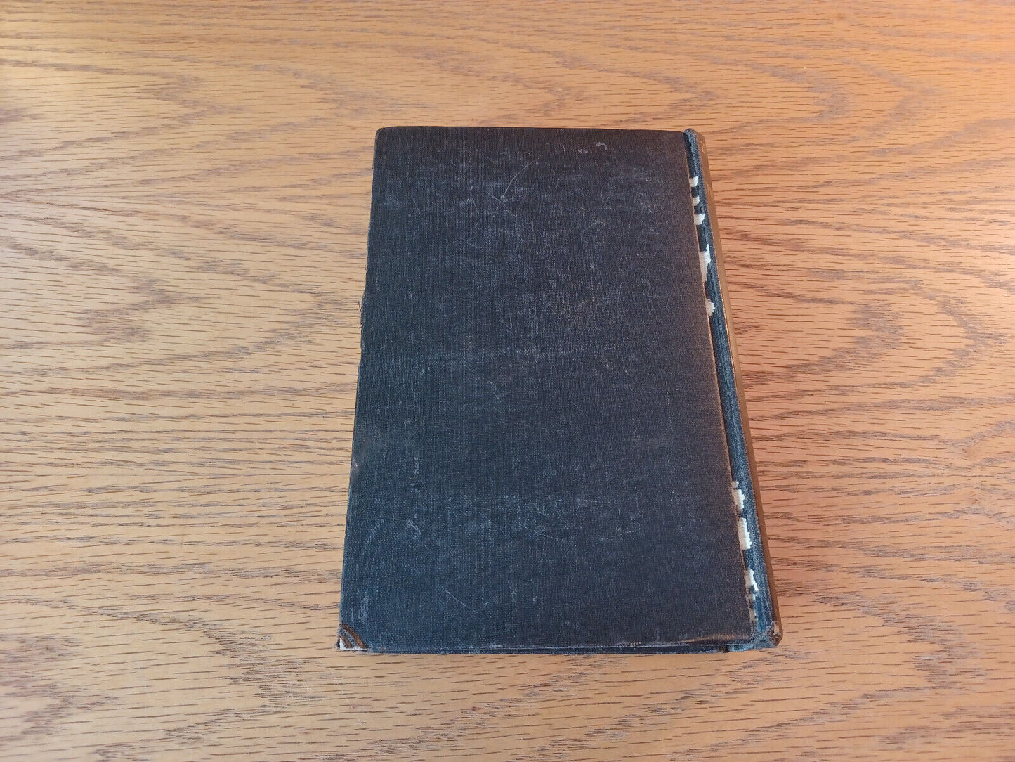Image #6