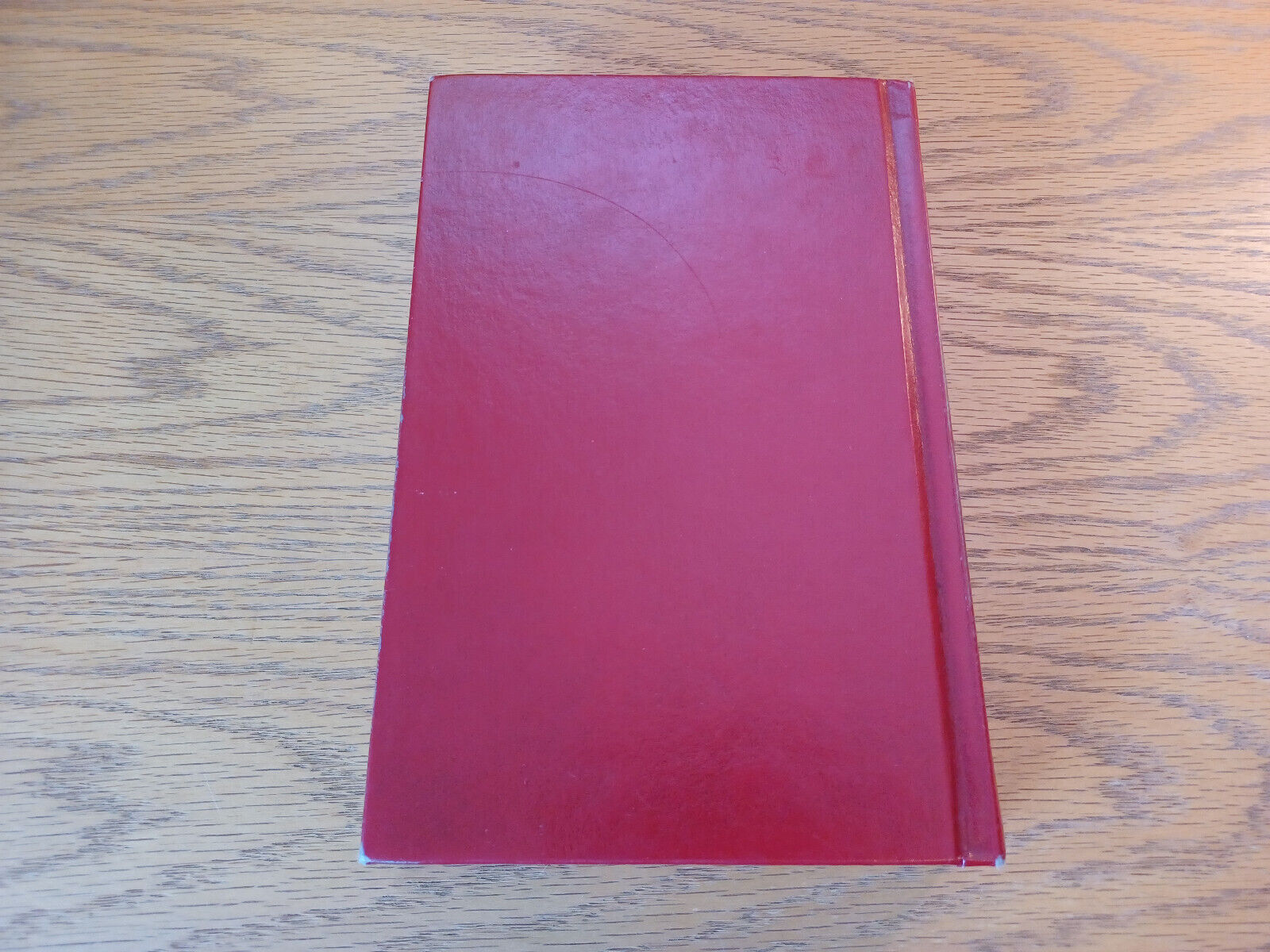Image #6