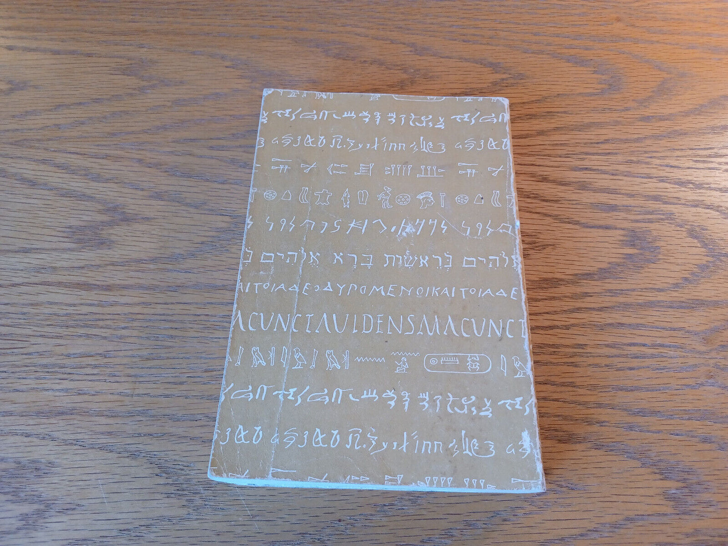 Image #6