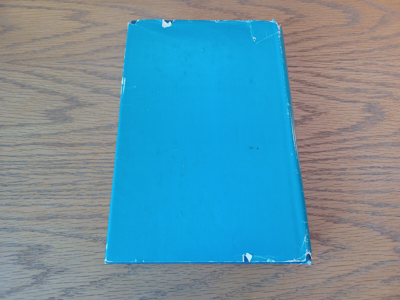 Image #6