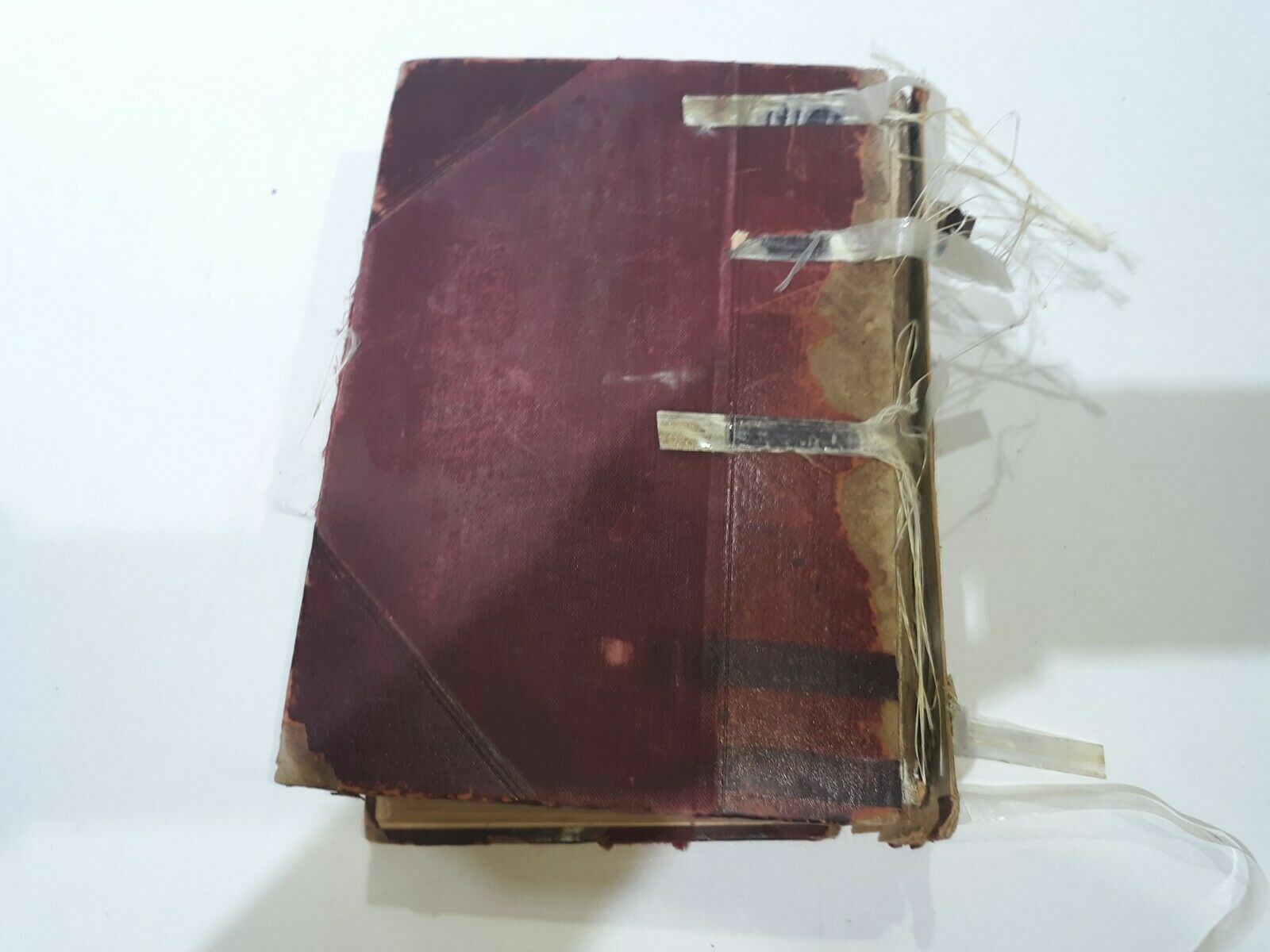Image #6