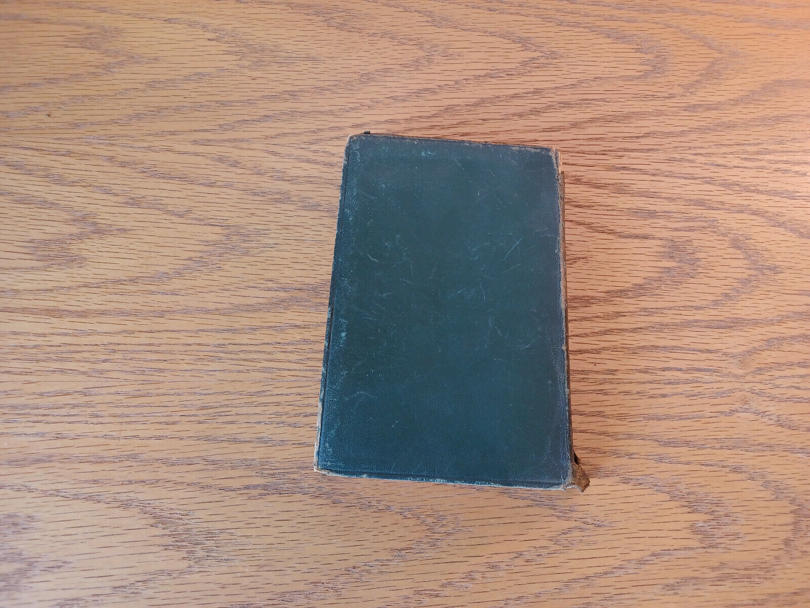 Image #6