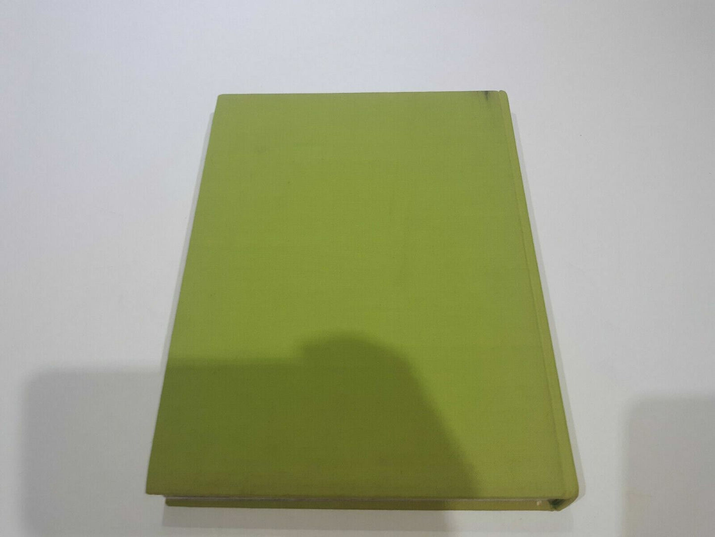 Image #5