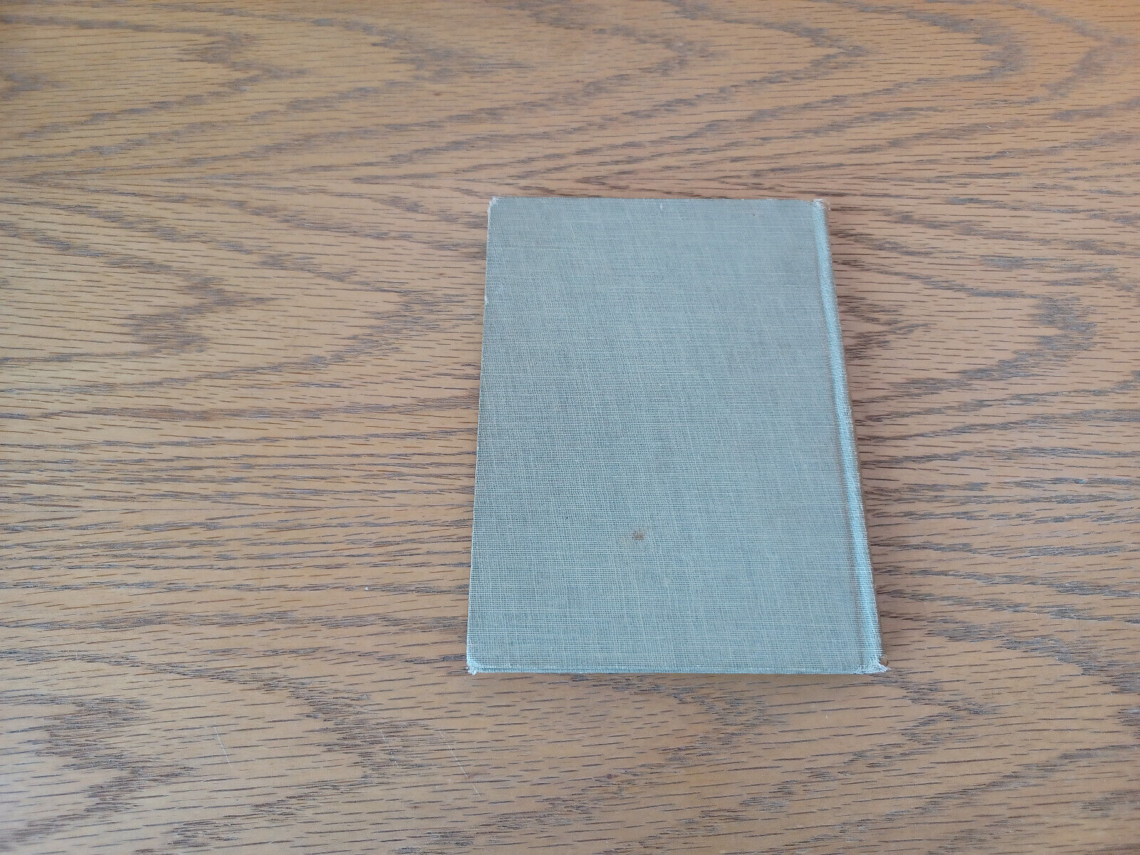 Image #6