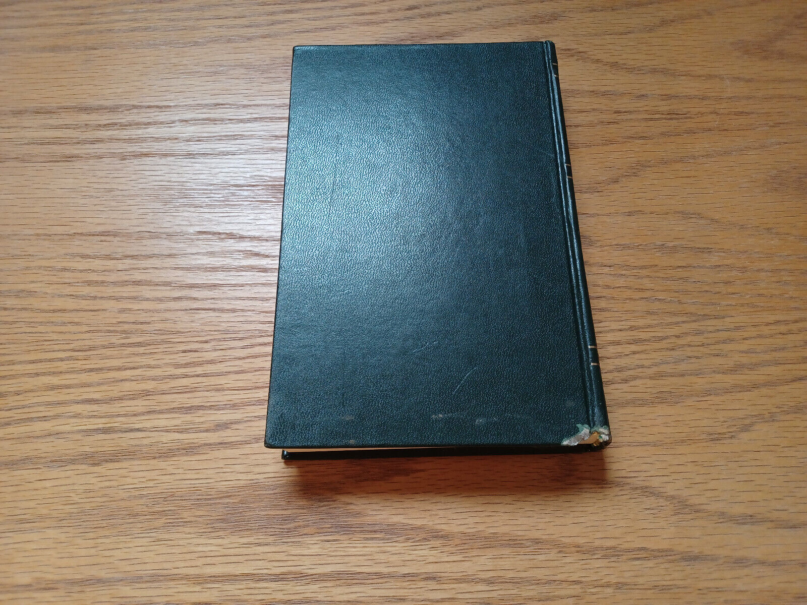 Image #6