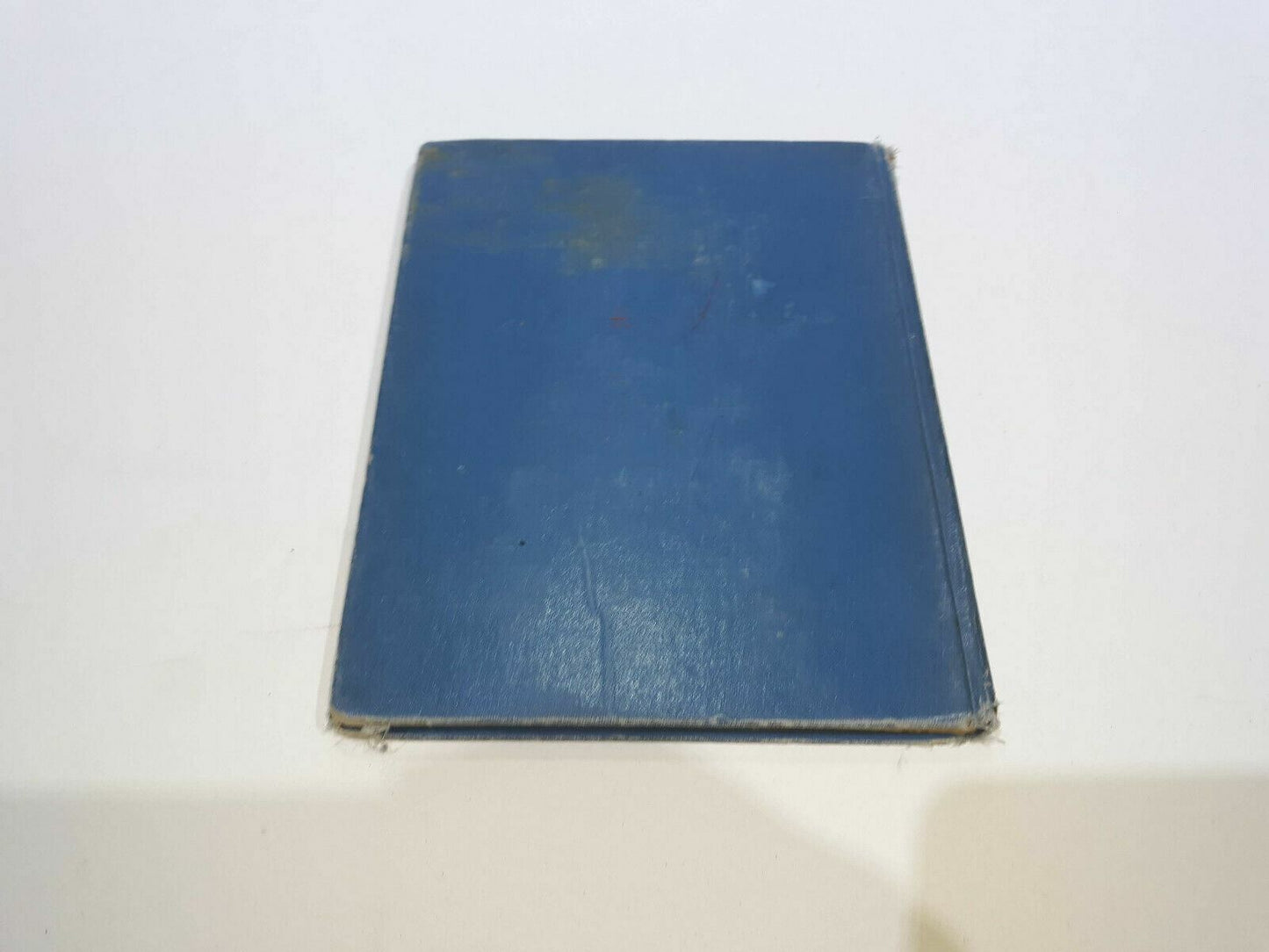 Image #7