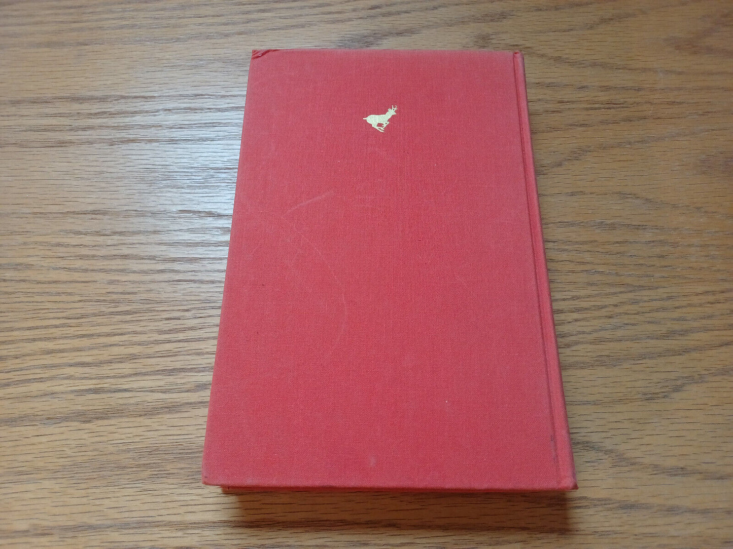 Image #6