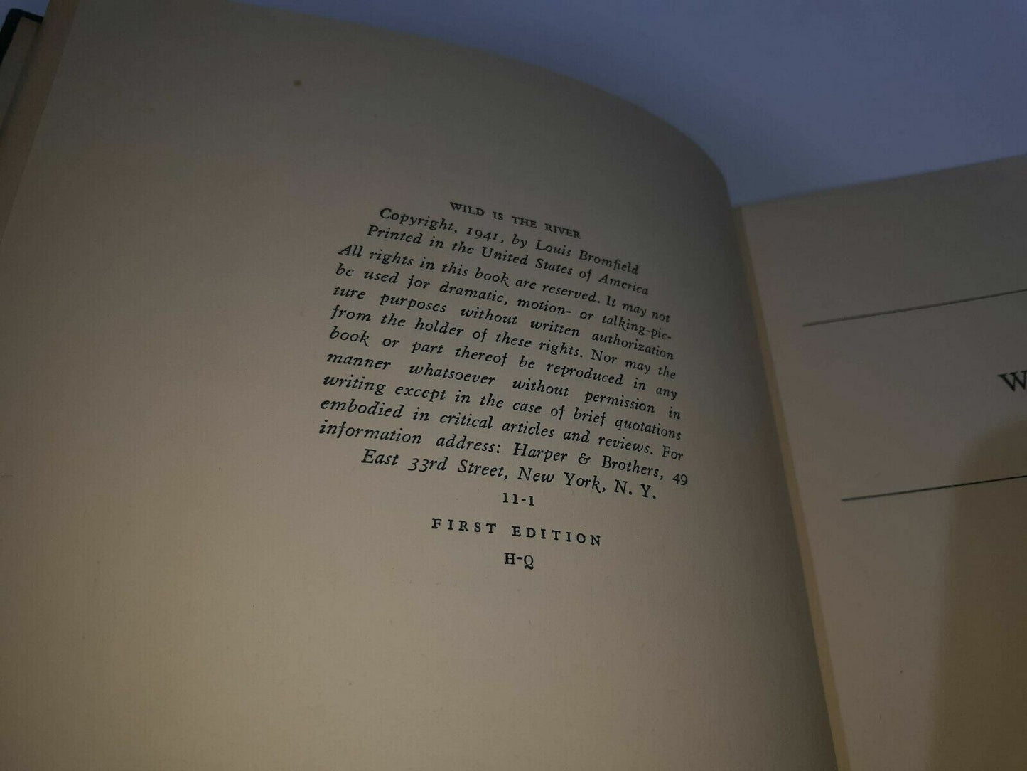 Image #10
