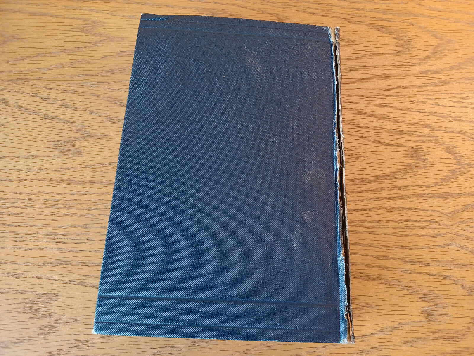 Image #6