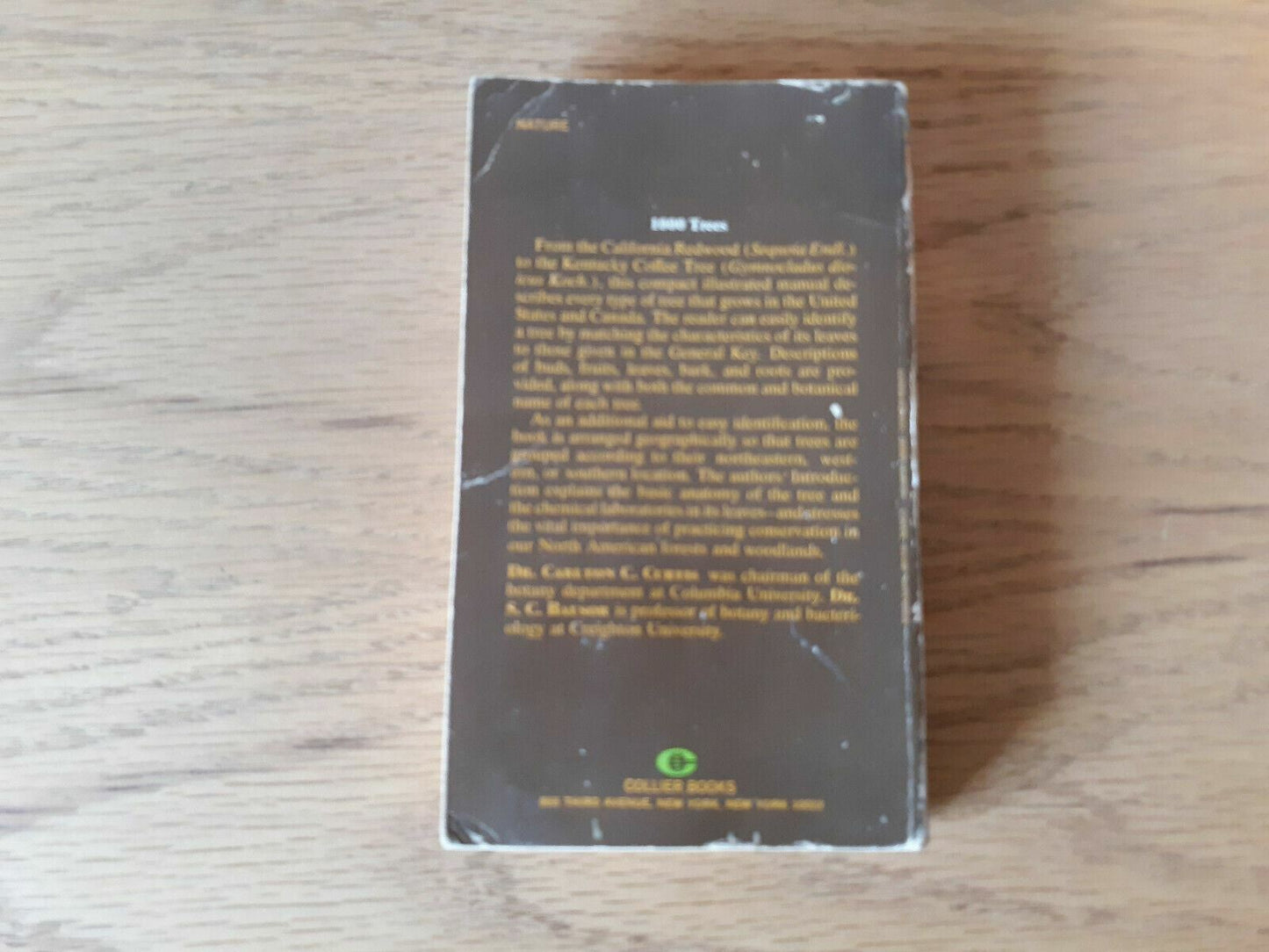 Image #6