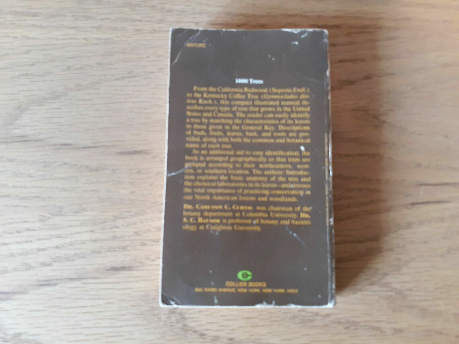 Image #6