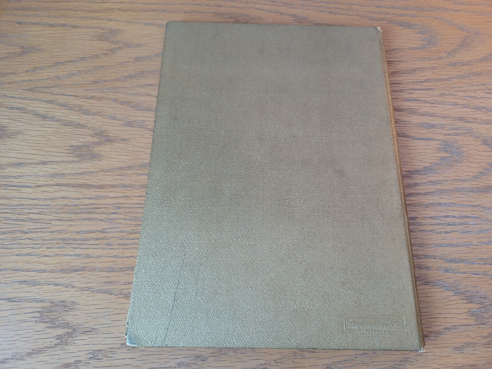 Image #6
