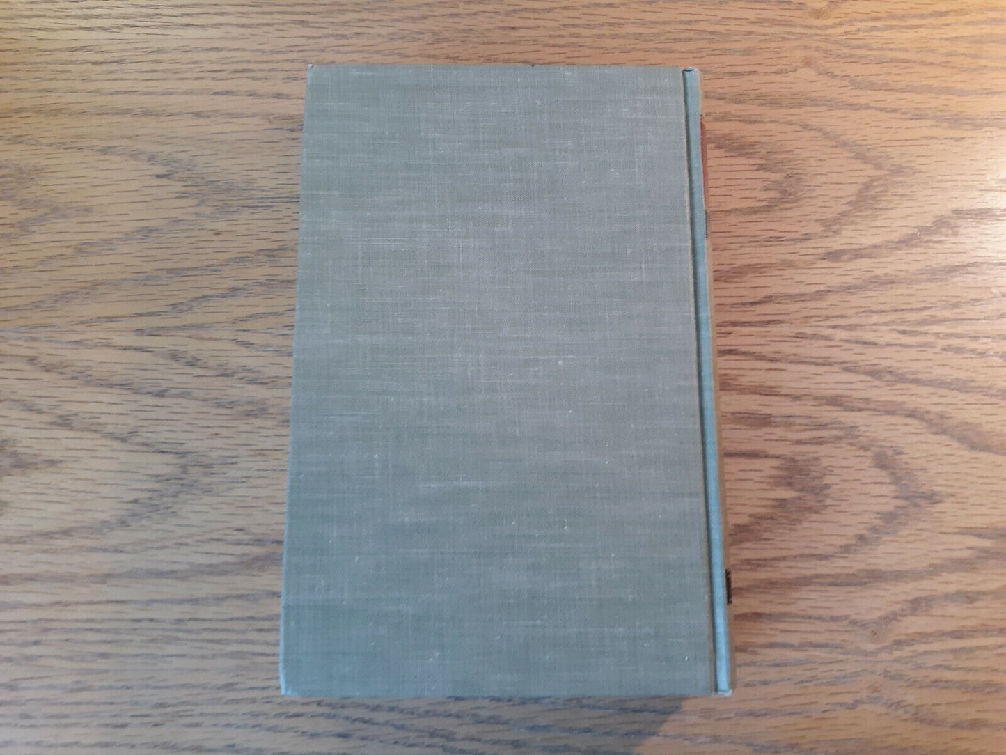 Image #6