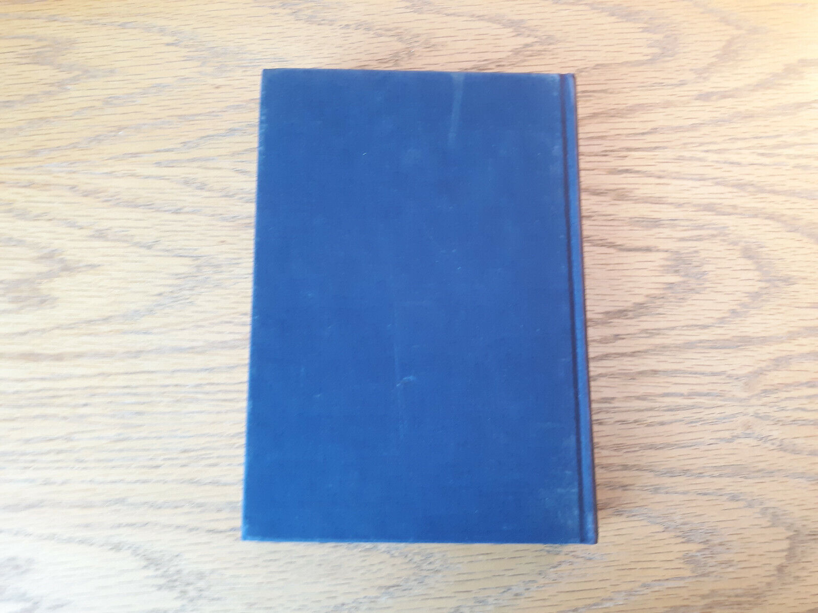 Image #6