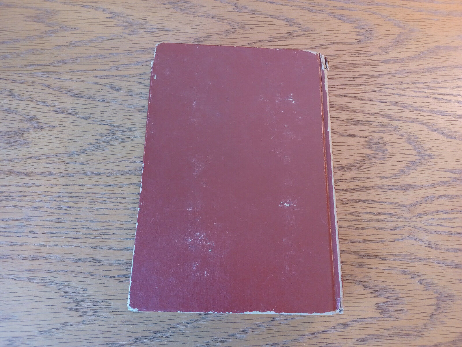 Image #6