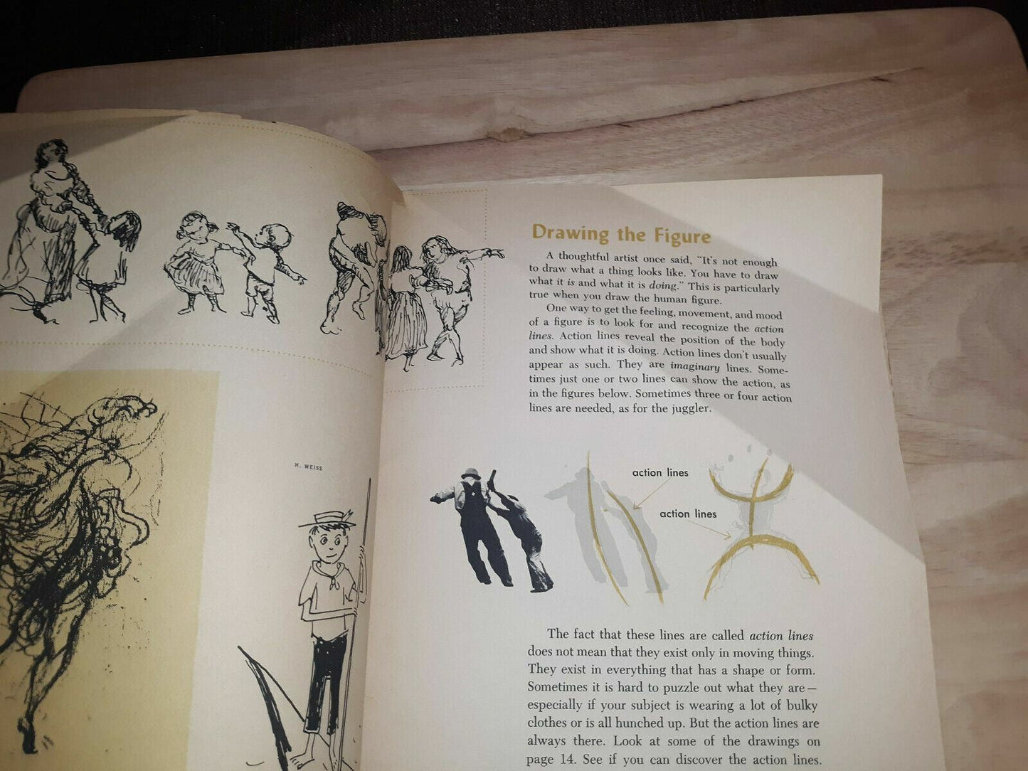 Image #7