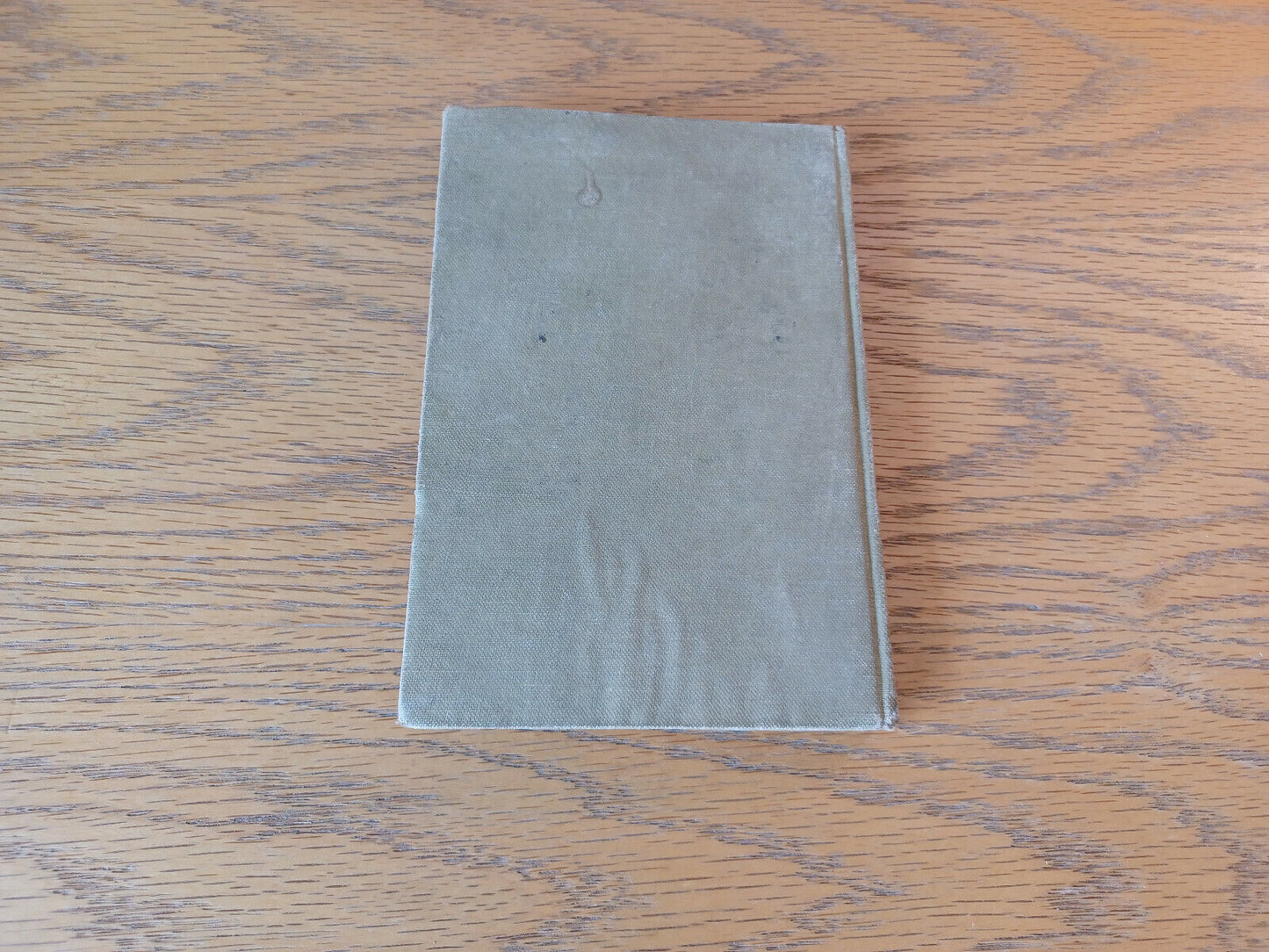 Image #6