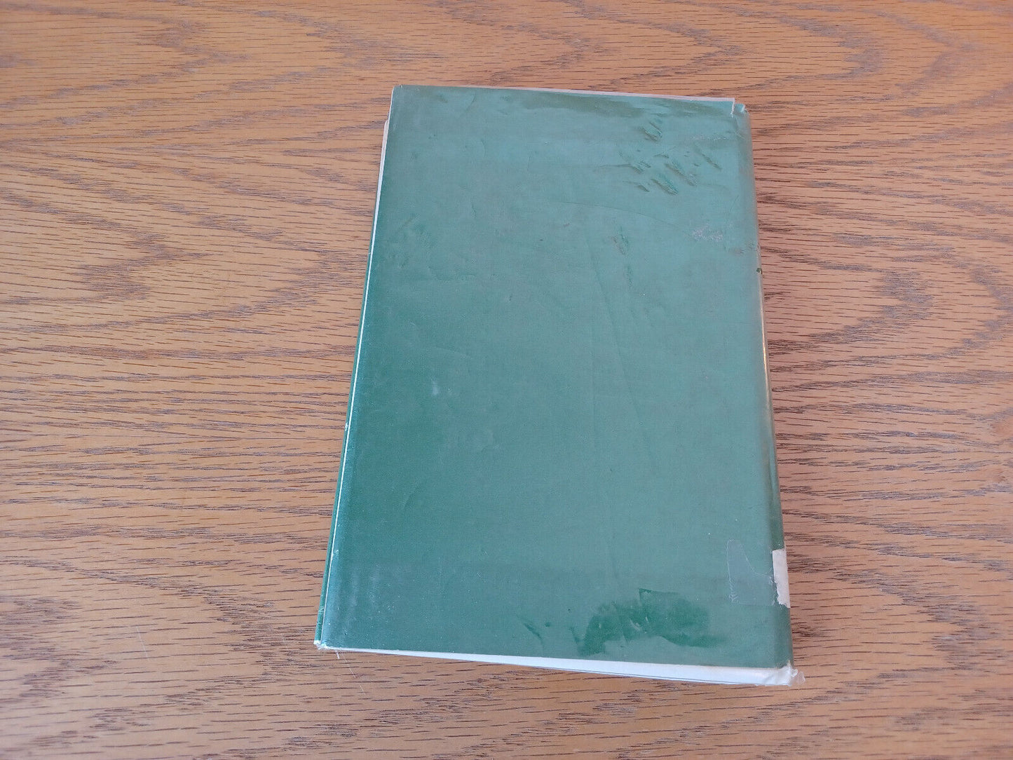 Image #6