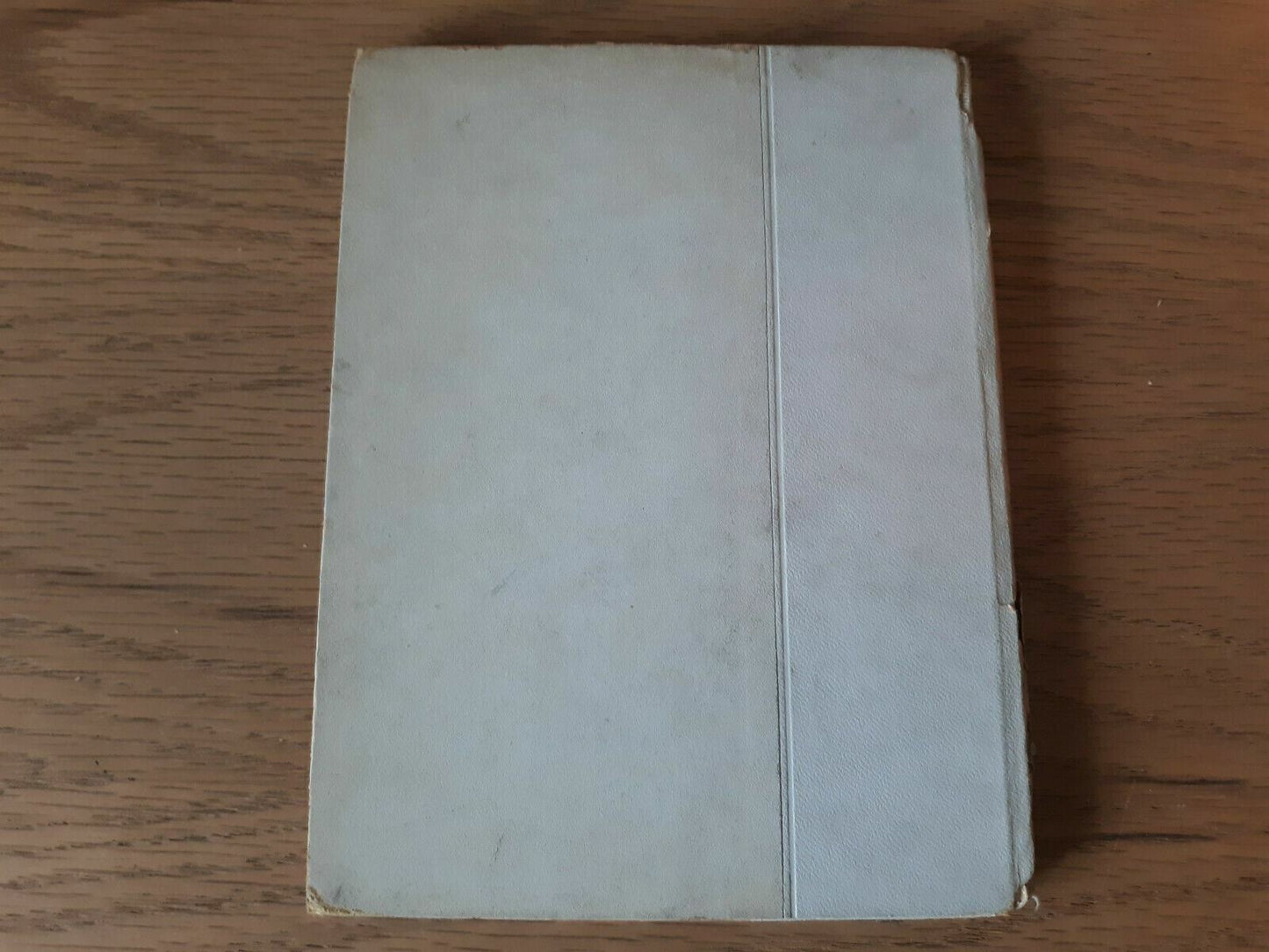 Image #6