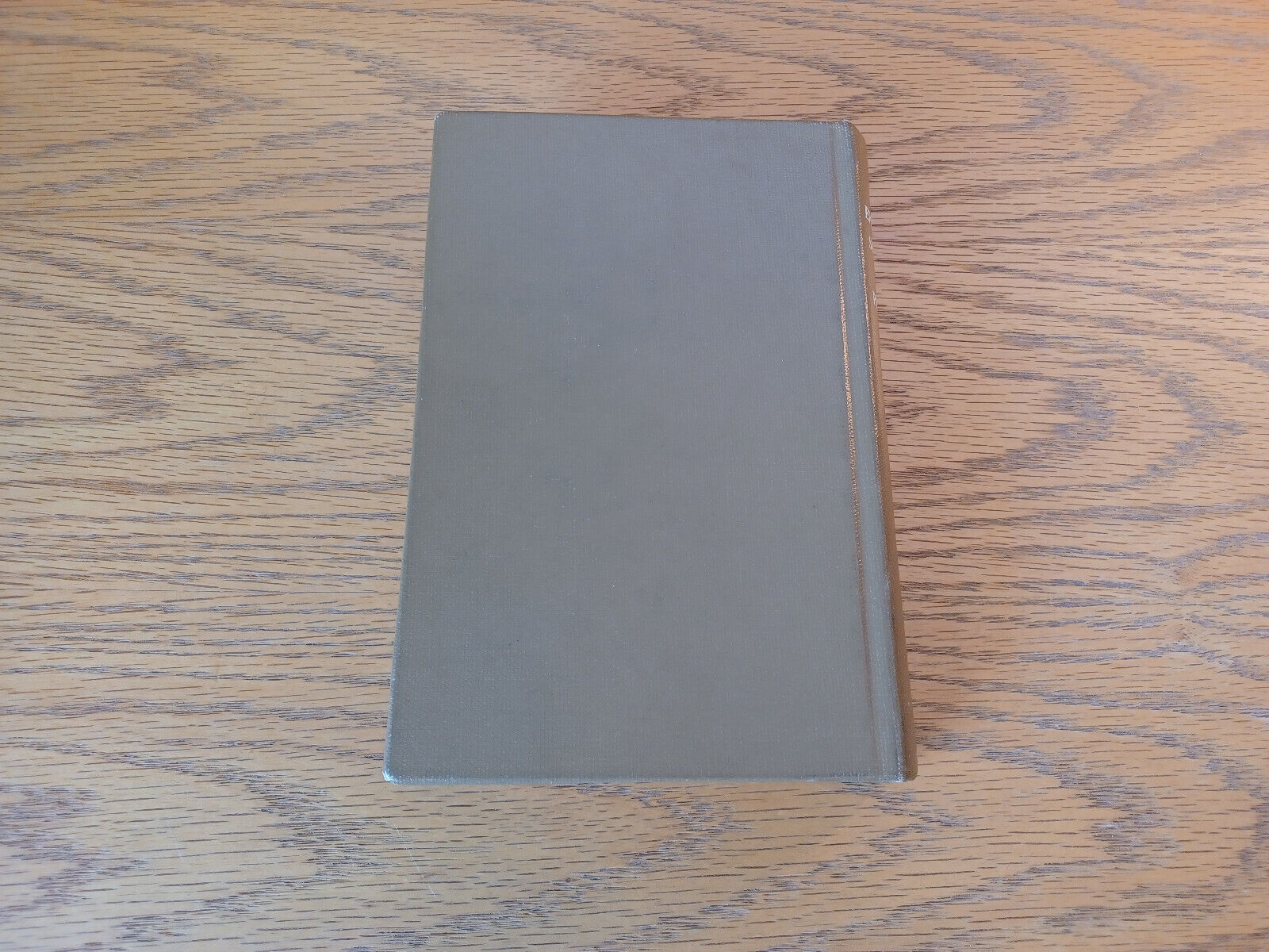 Image #6