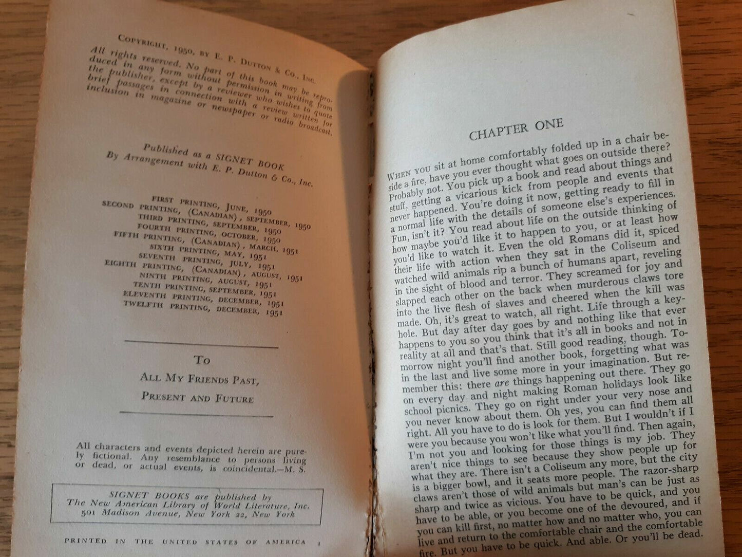 Image #8