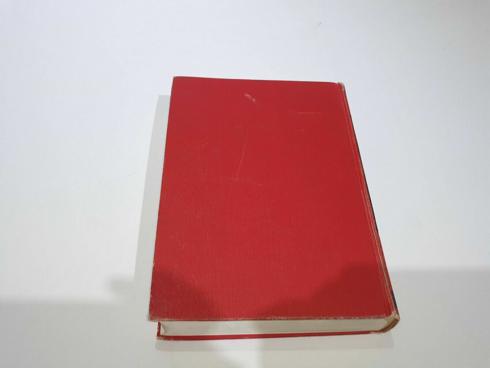 Image #7
