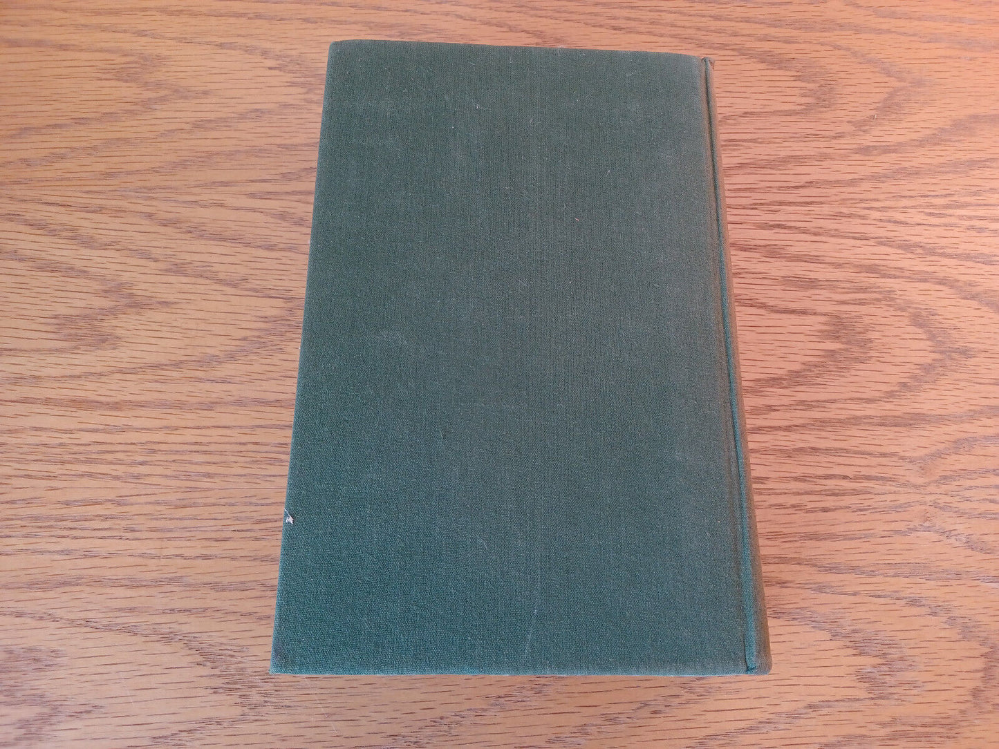 Image #6