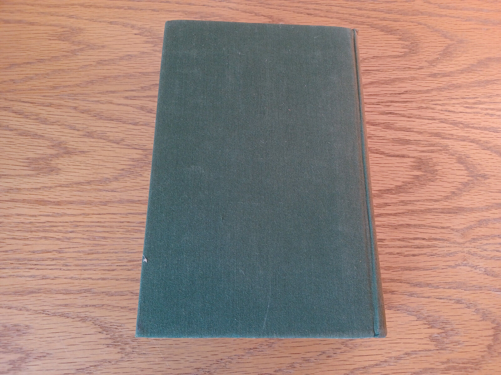 Image #6