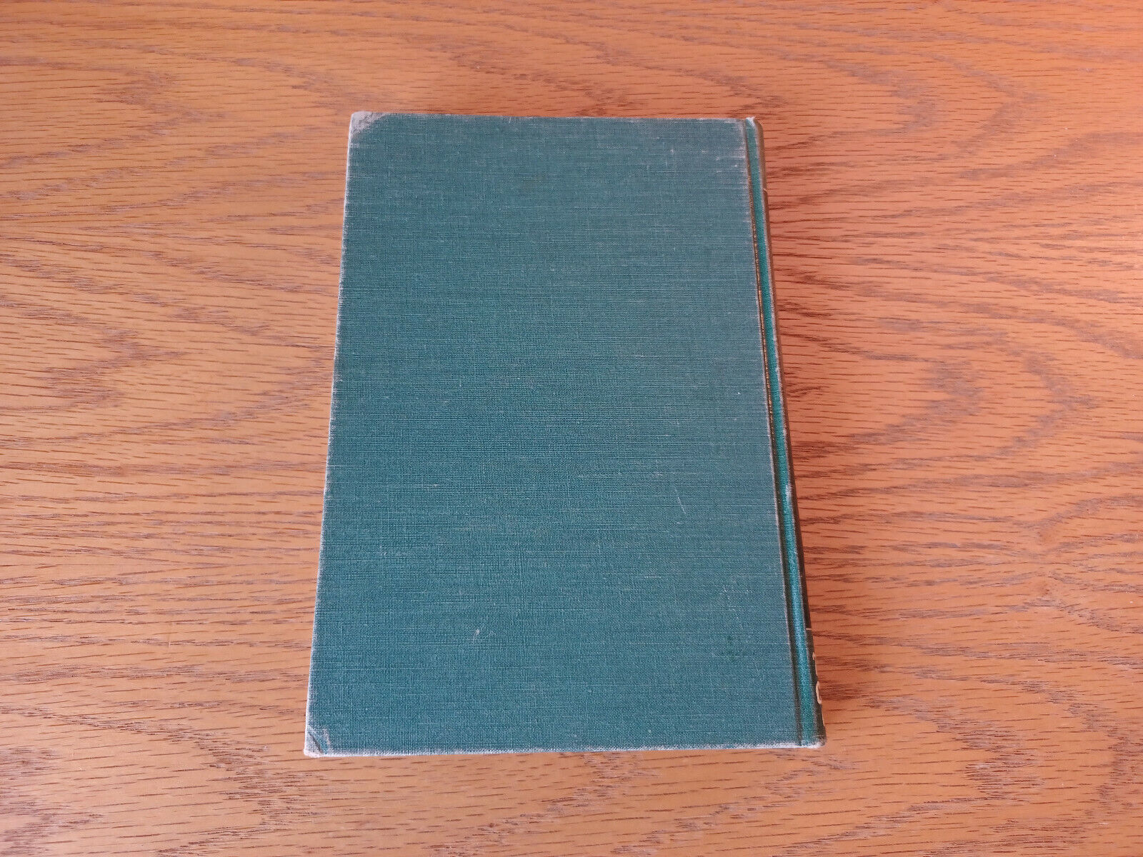 Image #6