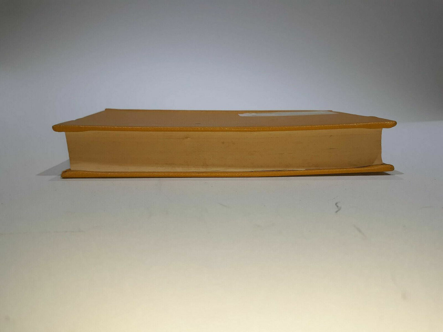 Image #8