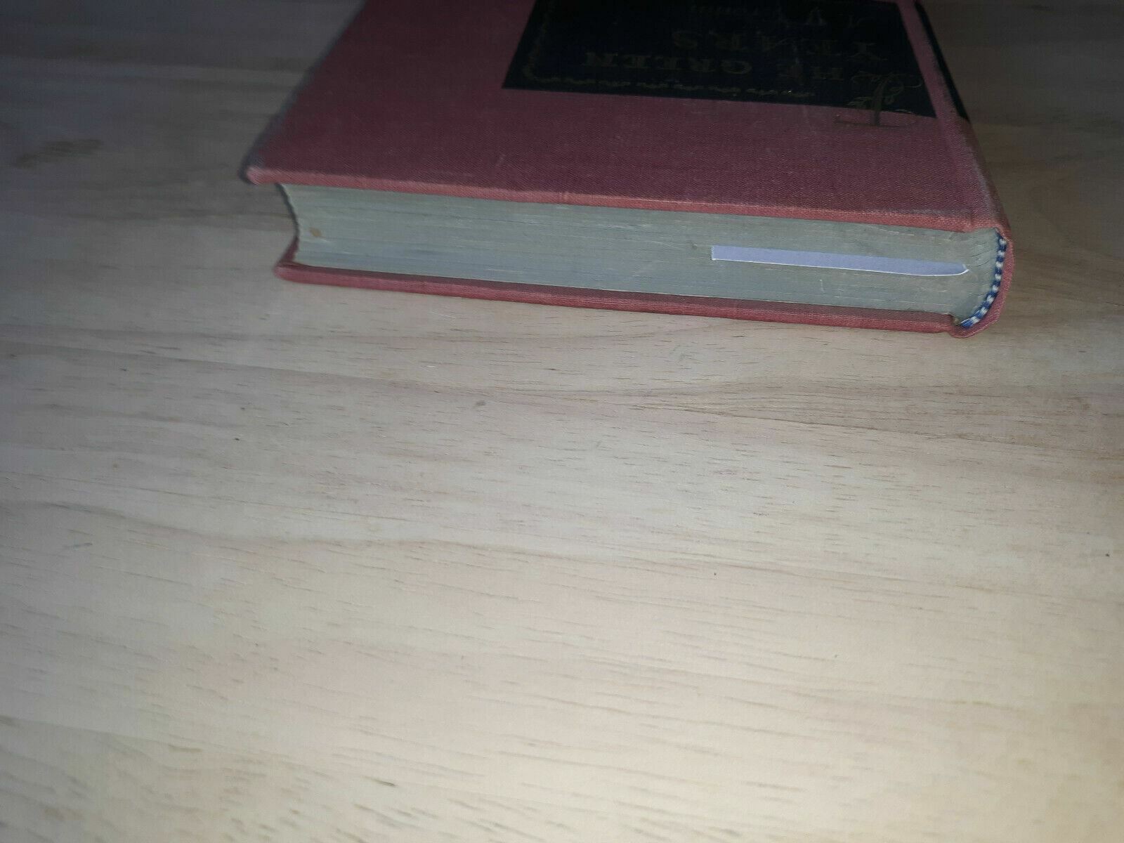 Image #4