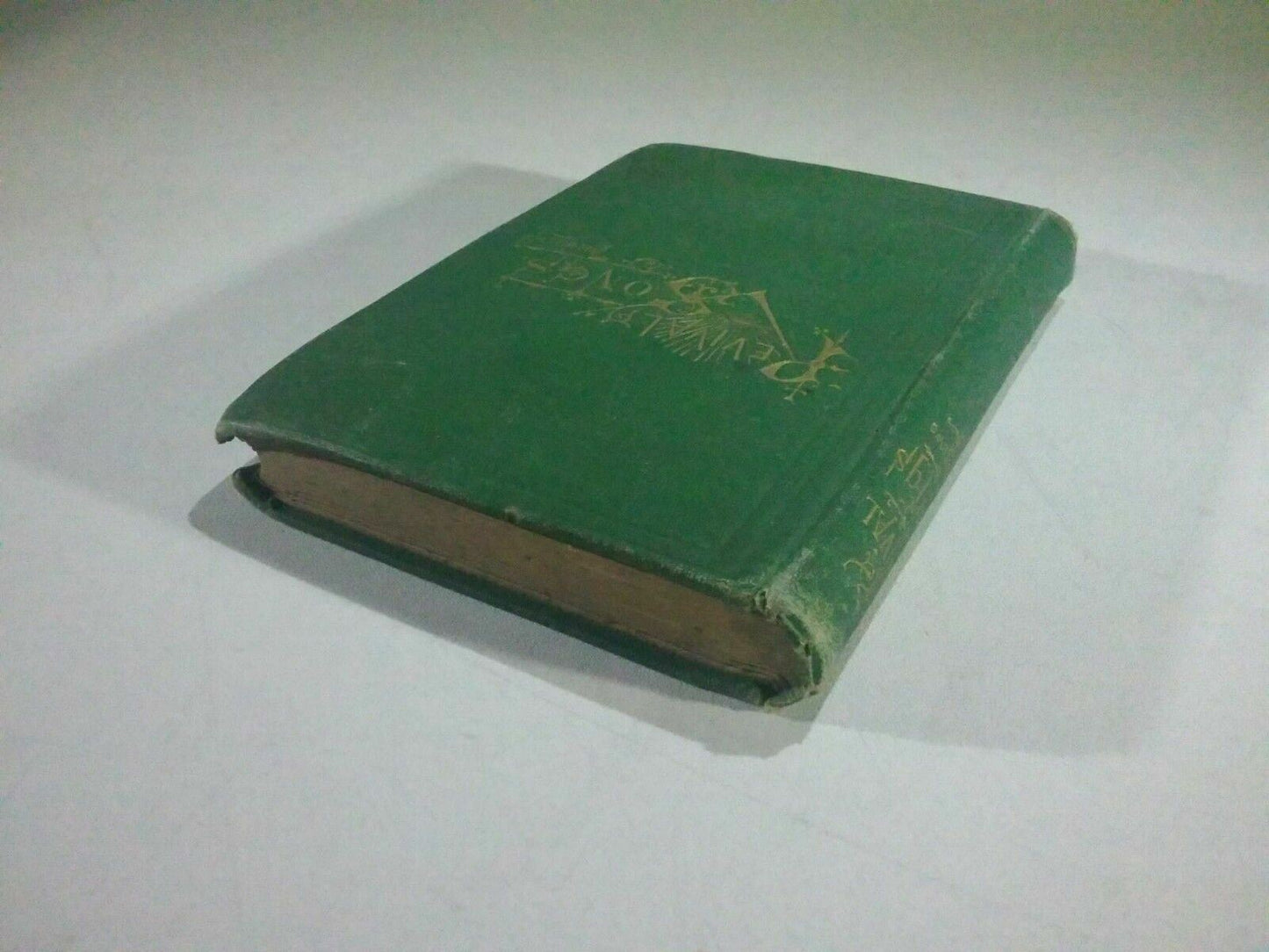 Image #6