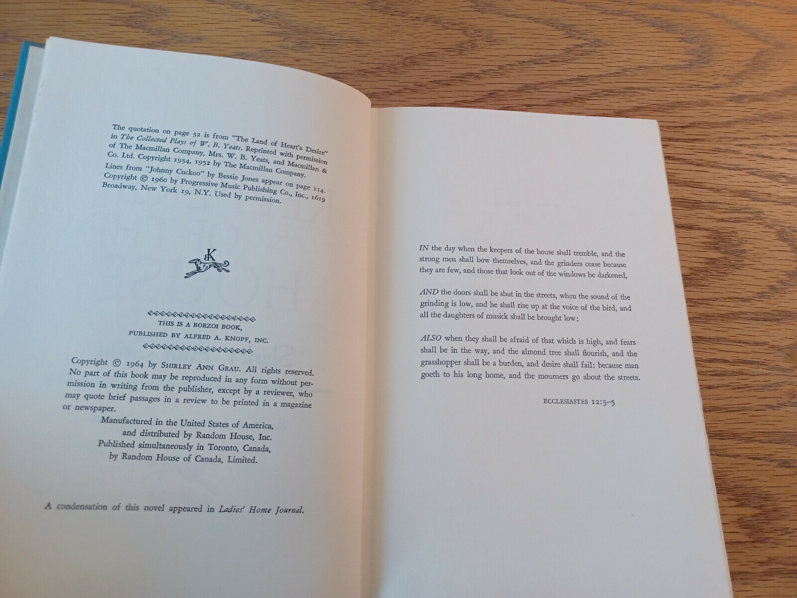 Image #8
