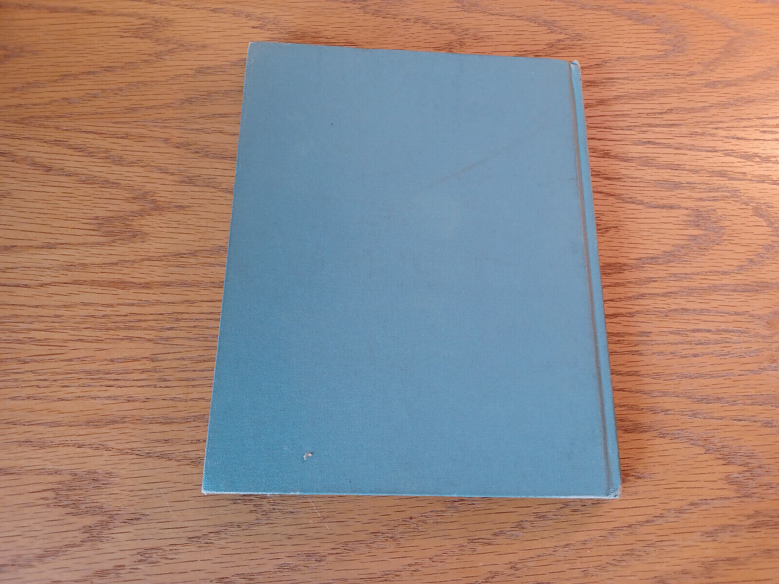 Image #6