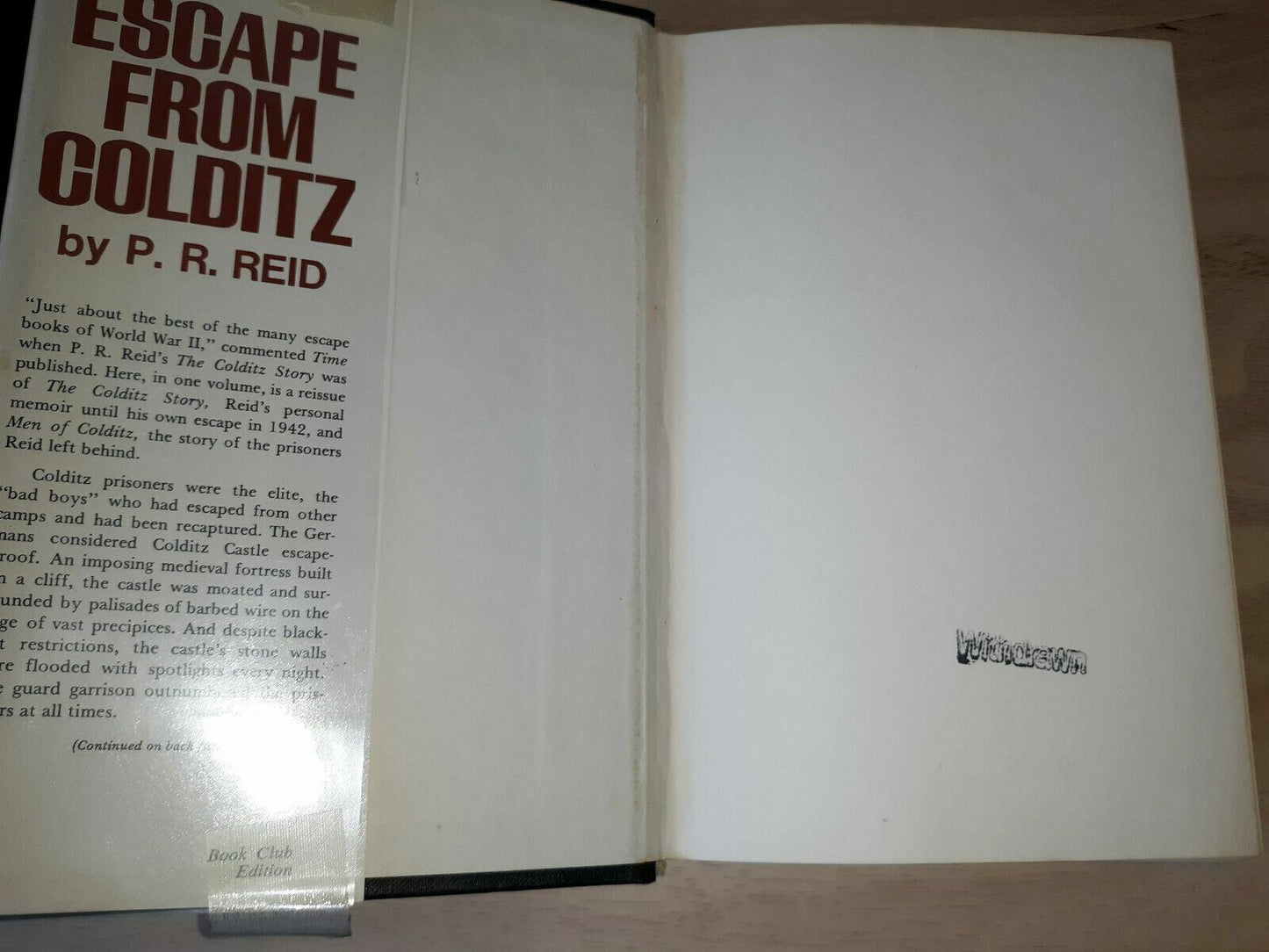 Image #7