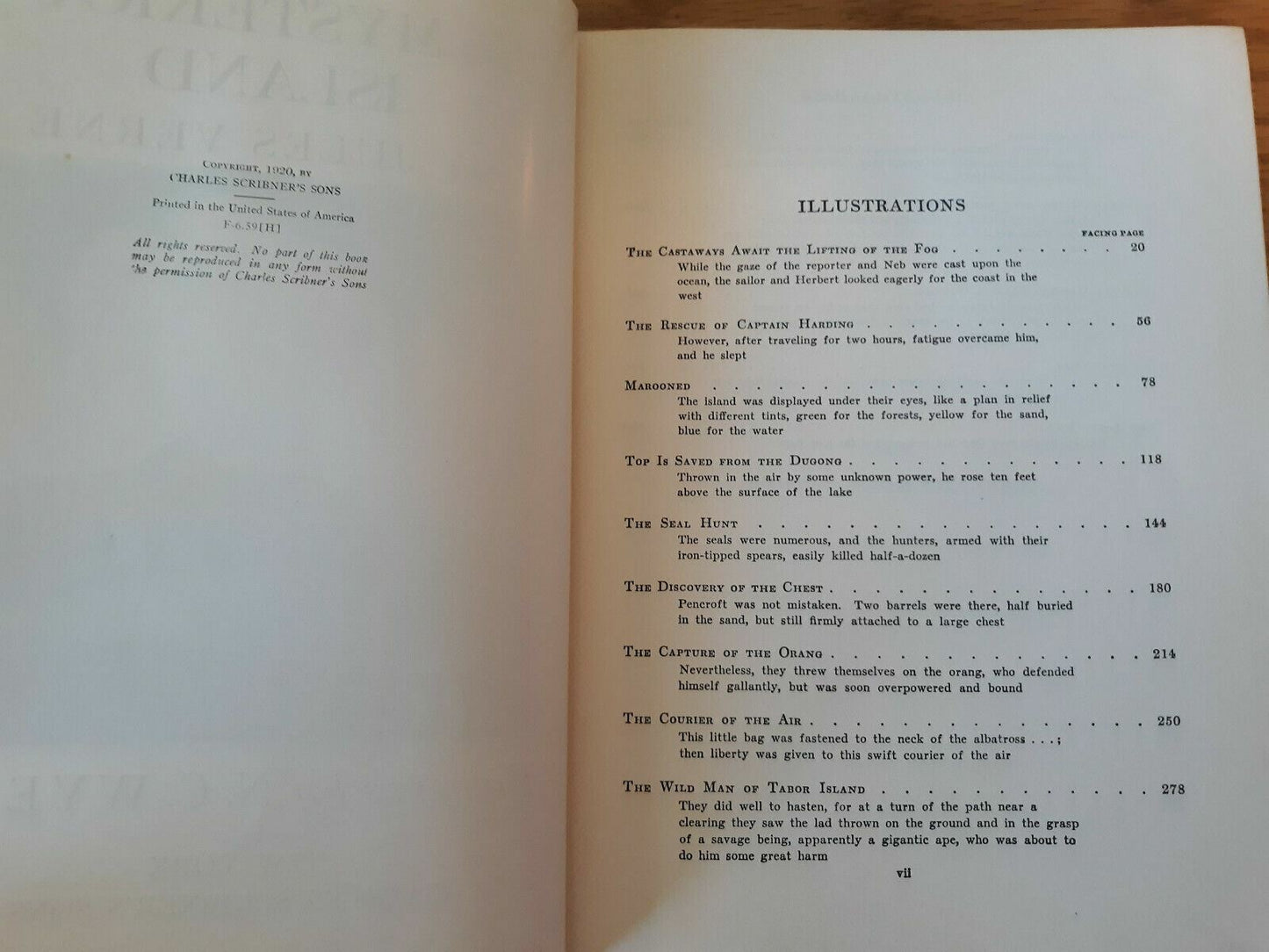 Image #8