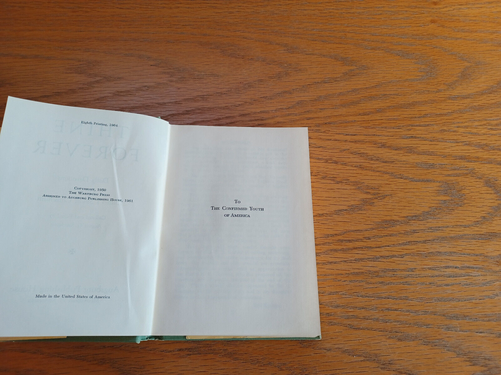 Image #8