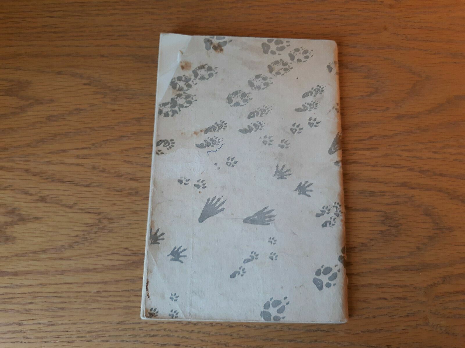 Image #3