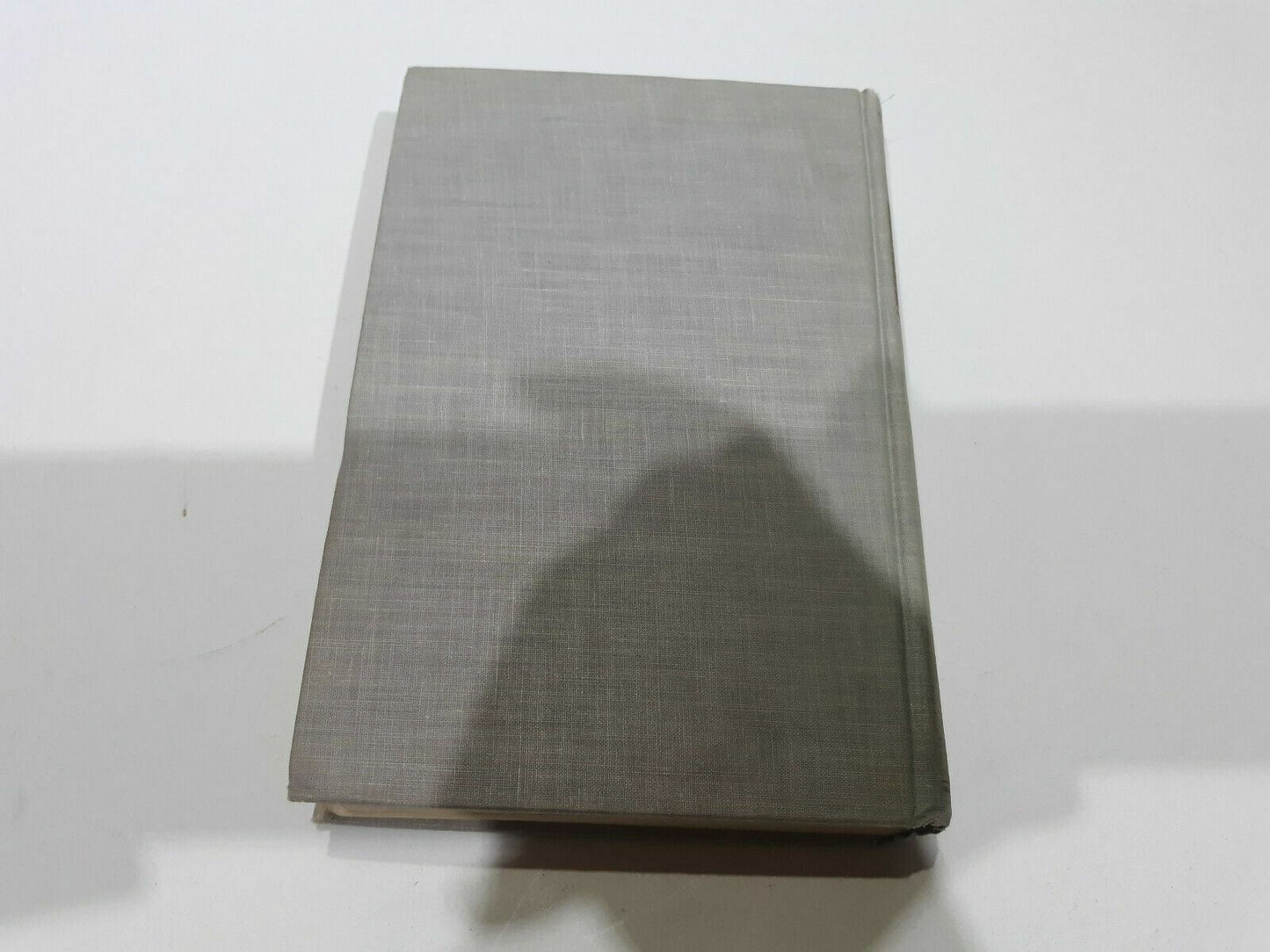Image #5
