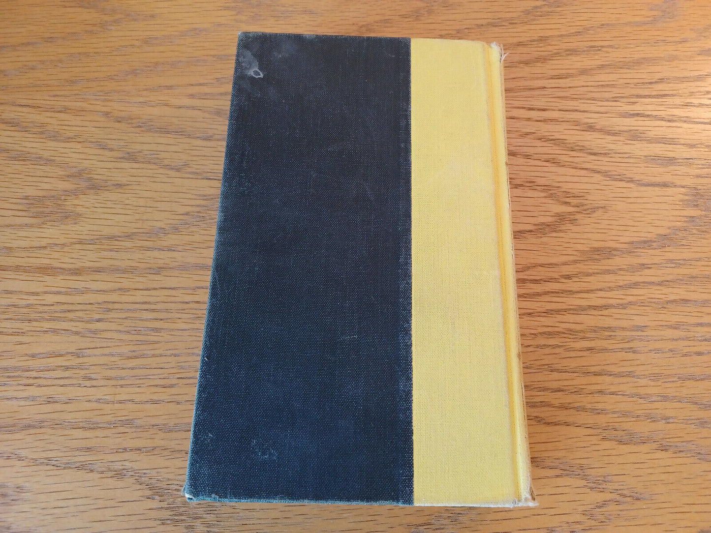 Image #6