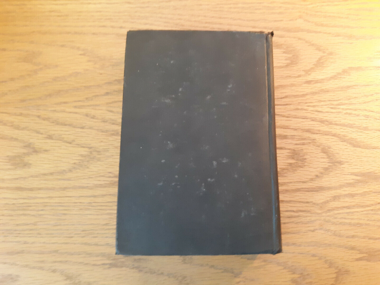 Image #6