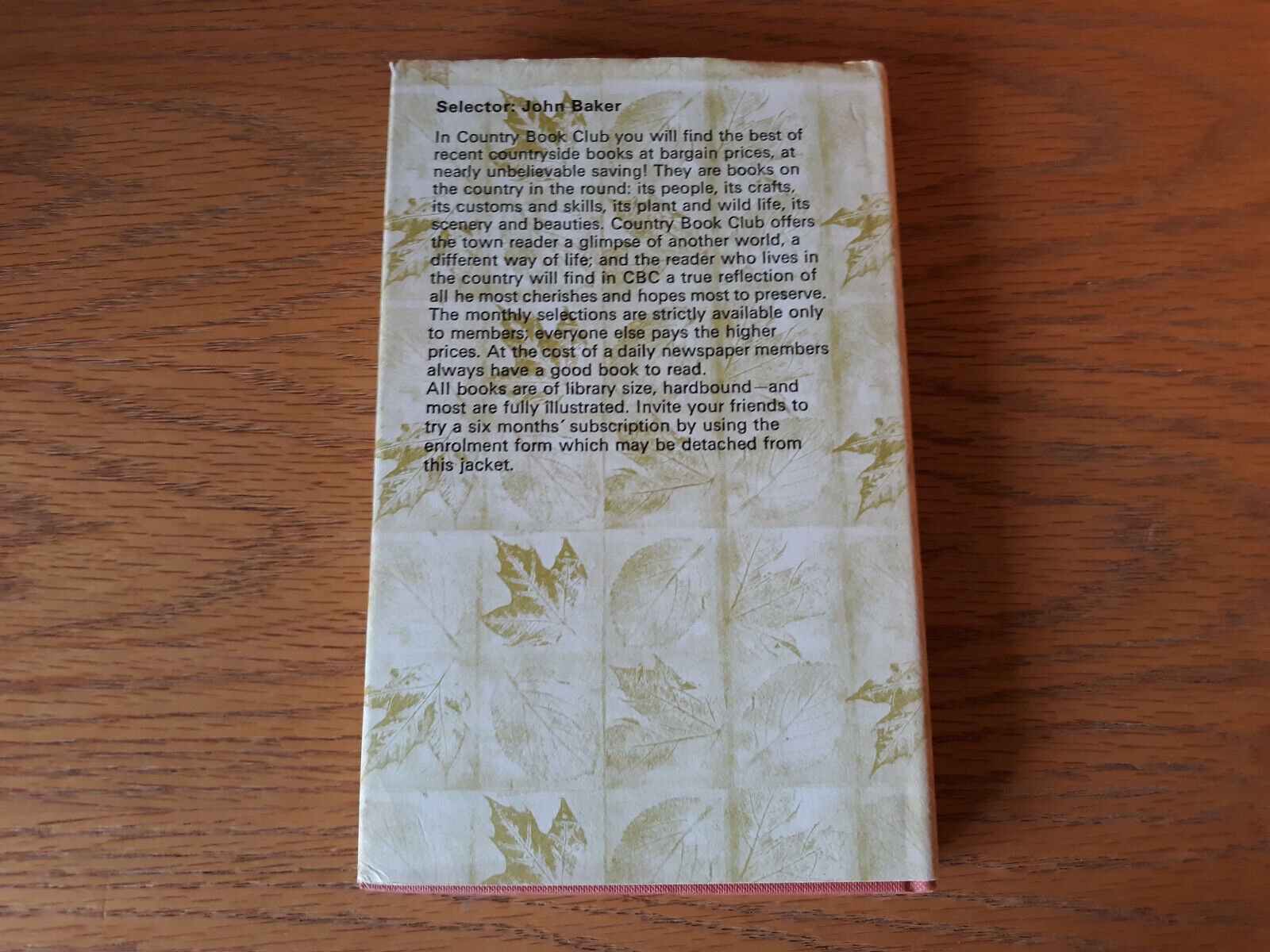Image #6