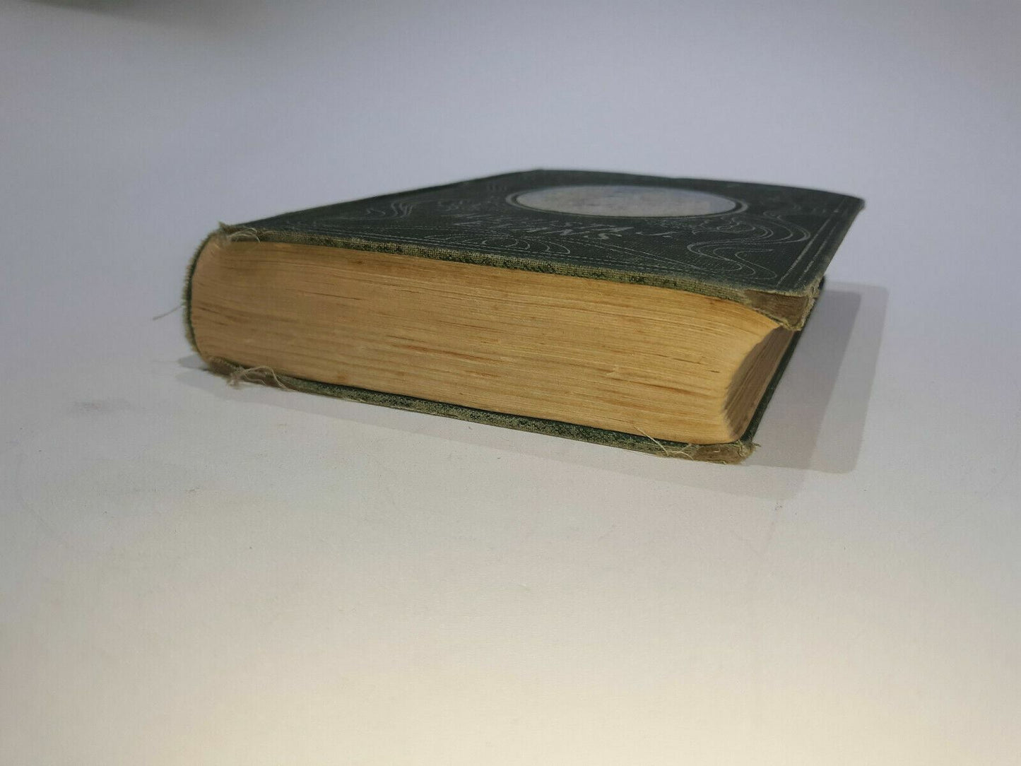 Image #2