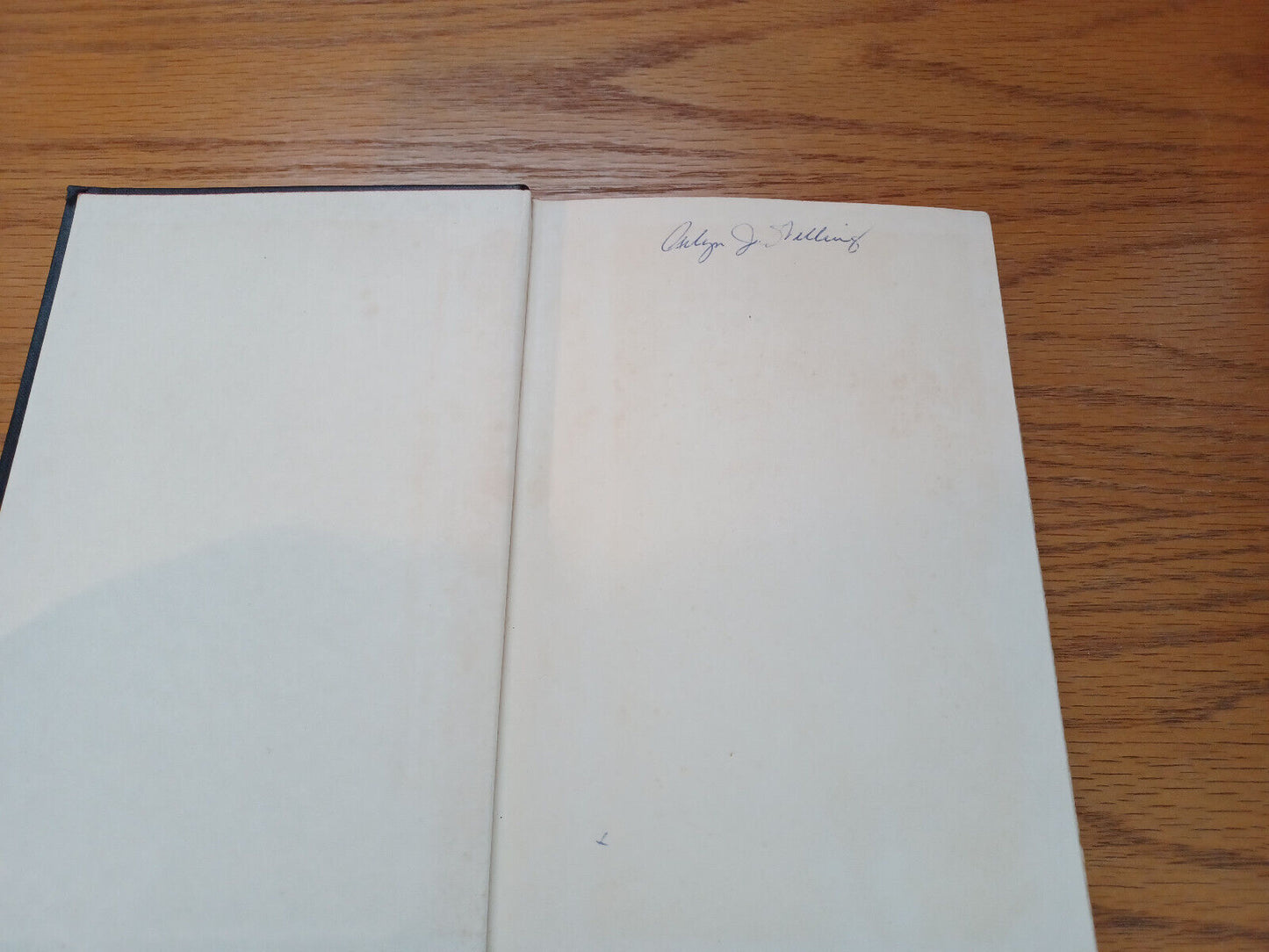 Image #8