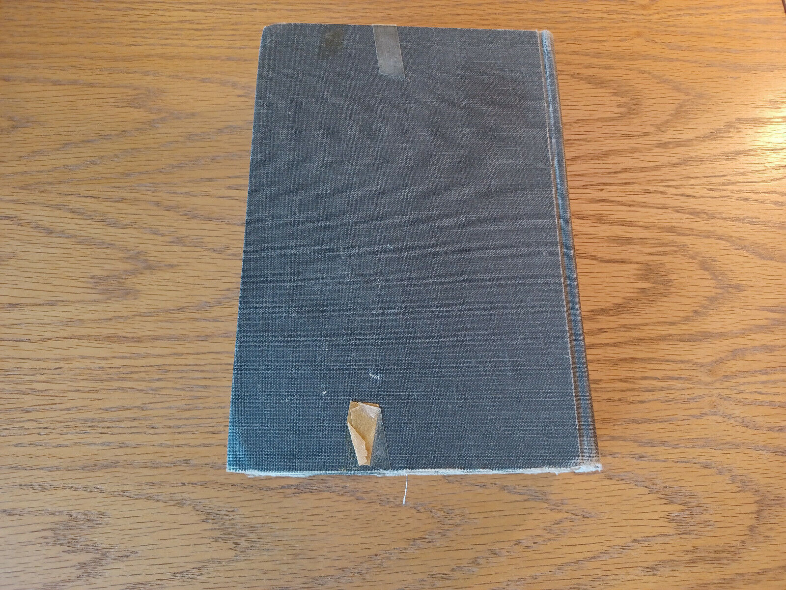 Image #6