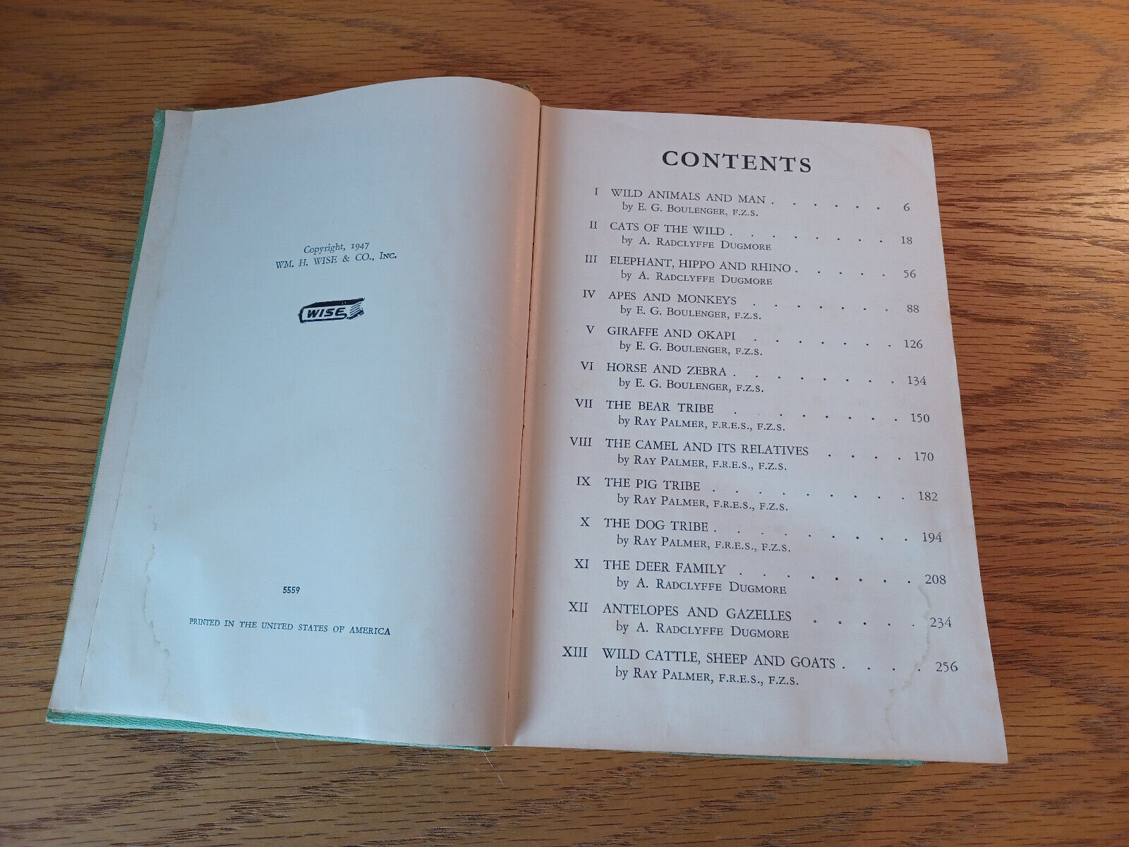 Image #8