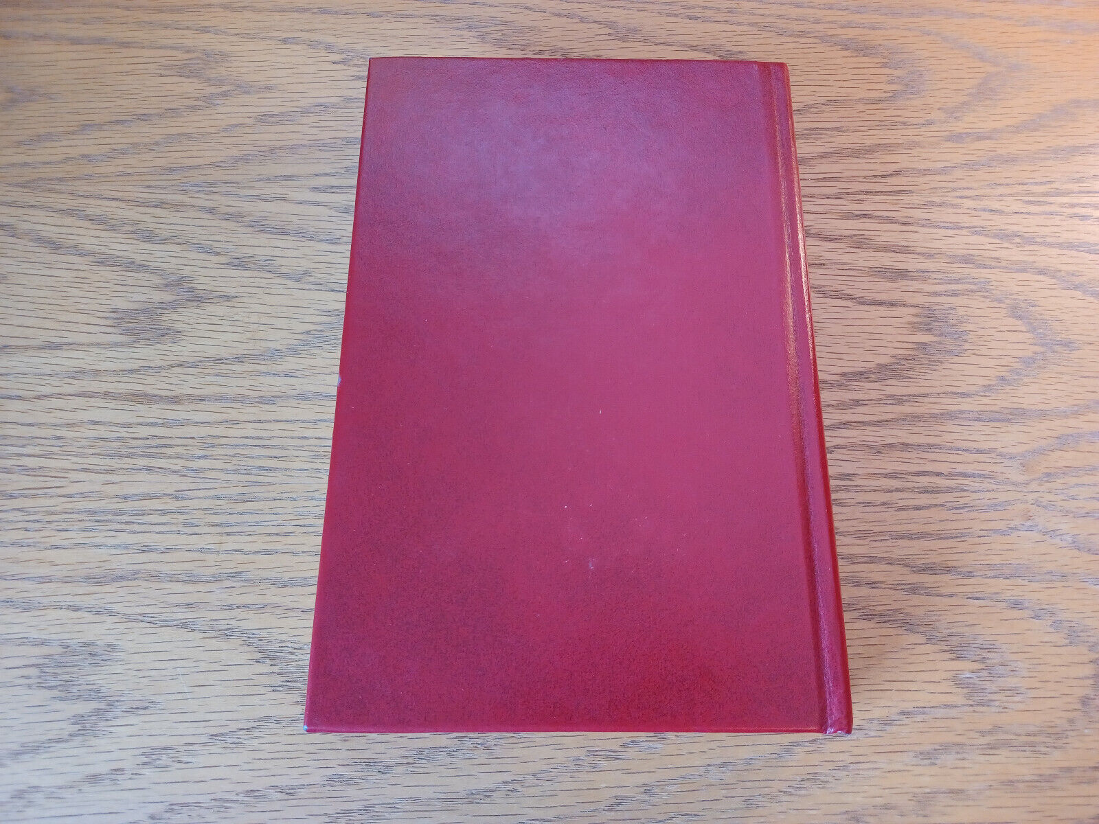Image #6
